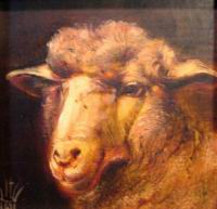 birkafej 6x6 olaj fatabla (sheephead oil on wood).jpg